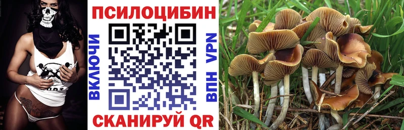 Галлюциногенные грибы мухоморы  кракен зеркало  Котельнич 